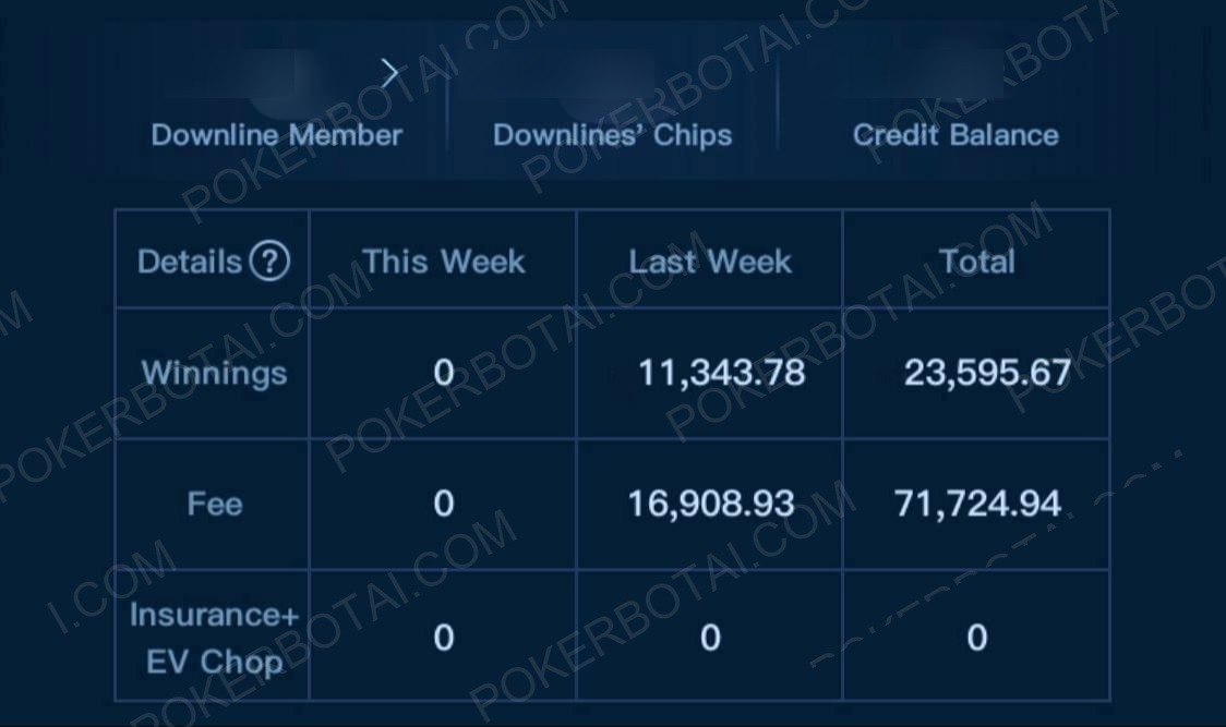 X-Poker 盈亏截图（已隐去身份）